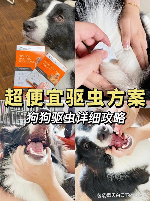 狗狗可以用花露水吗,狗狗可以用花露水吗会中毒吗?-第2张图片-后鲨宠物 狗狗可以用花露水吗,狗狗可以用花露水吗会中毒吗?-第2张图片-后鲨宠物