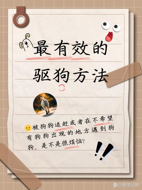 狗狗可以用花露水吗,狗狗可以用花露水吗会中毒吗?-第3张图片-后鲨宠物 狗狗可以用花露水吗,狗狗可以用花露水吗会中毒吗?-第3张图片-后鲨宠物