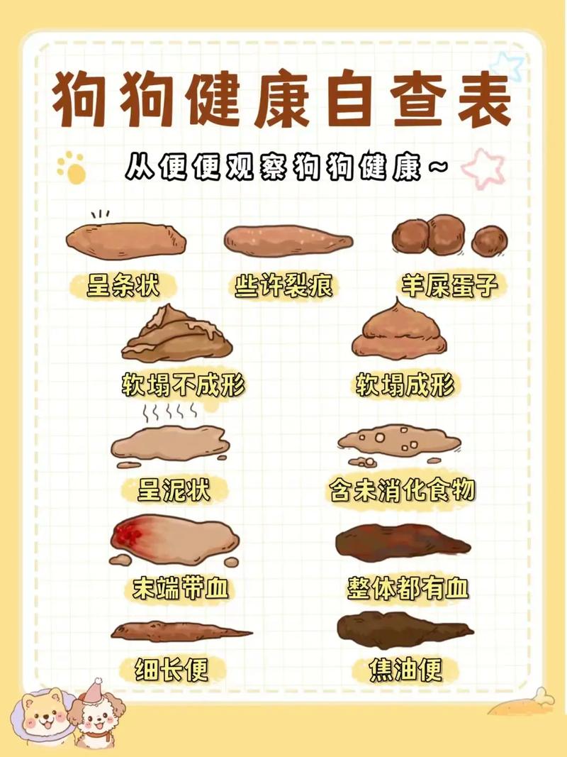 三个月大的狗狗拉稀怎么办_3个月的狗狗拉稀怎么办-第1张图片-后鲨宠物 三个月大的狗狗拉稀怎么办_3个月的狗狗拉稀怎么办-第1张图片-后鲨宠物