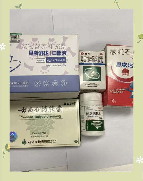 狗狗上吐下泻吃什么药_狗子又吐又拉稀吃什么药-第6张图片-后鲨宠物 狗狗上吐下泻吃什么药_狗子又吐又拉稀吃什么药-第6张图片-后鲨宠物