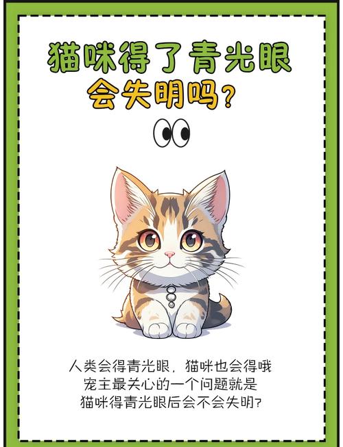 猫咪青光眼怎么治疗_猫咪青光眼治疗费用-第2张图片-后鲨宠物 猫咪青光眼怎么治疗_猫咪青光眼治疗费用-第2张图片-后鲨宠物
