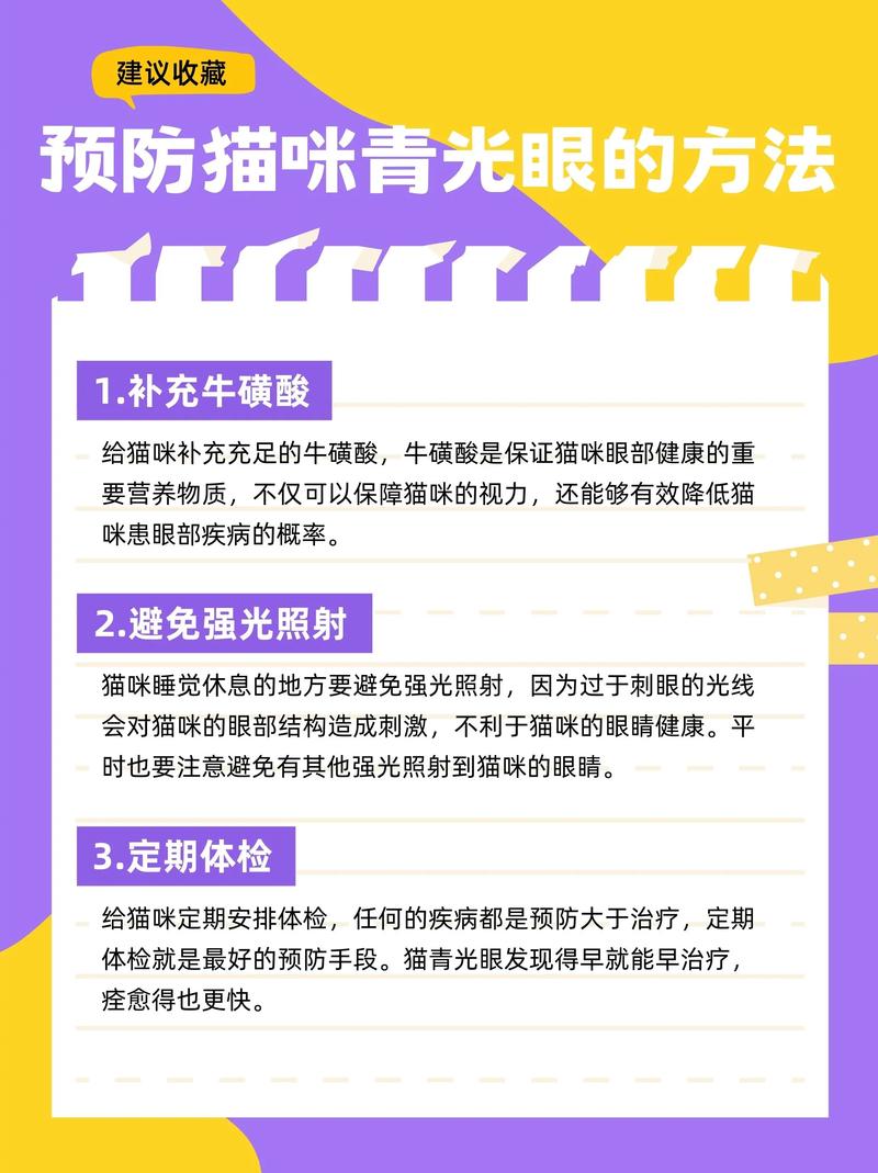 猫咪青光眼怎么治疗_猫咪青光眼治疗费用-第6张图片-后鲨宠物 猫咪青光眼怎么治疗_猫咪青光眼治疗费用-第6张图片-后鲨宠物