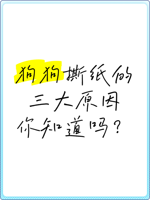 如何纠正狗狗撕纸,如何纠正狗狗撕纸的问题?-第1张图片-后鲨宠物 如何纠正狗狗撕纸,如何纠正狗狗撕纸的问题?-第1张图片-后鲨宠物