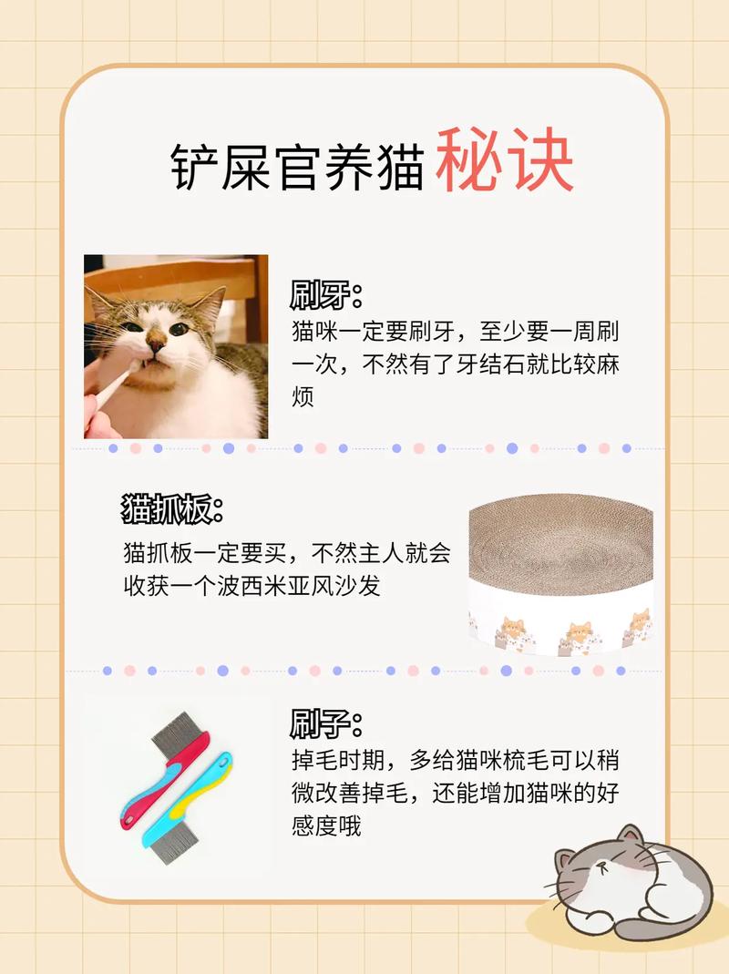 猫咪多大开始刷牙,猫咪多大的时候刷牙?-第3张图片-后鲨宠物 猫咪多大开始刷牙,猫咪多大的时候刷牙?-第3张图片-后鲨宠物