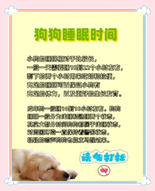 狗狗每天睡多久,狗狗每天睡多久觉?-第4张图片-后鲨宠物 狗狗每天睡多久,狗狗每天睡多久觉?-第4张图片-后鲨宠物