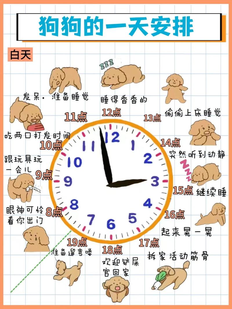 狗狗每天睡多久,狗狗每天睡多久觉?-第5张图片-后鲨宠物 狗狗每天睡多久,狗狗每天睡多久觉?-第5张图片-后鲨宠物