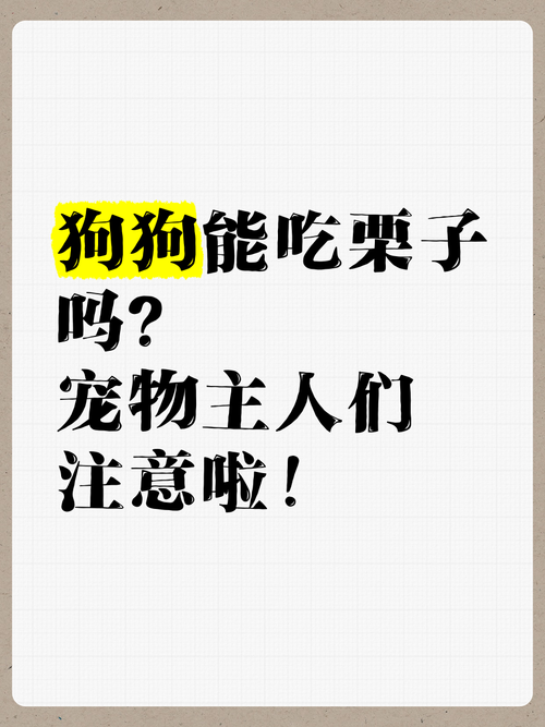 狗狗能吃栗子吗,狗狗能不能吃栗子?-第4张图片-后鲨宠物 狗狗能吃栗子吗,狗狗能不能吃栗子?-第4张图片-后鲨宠物
