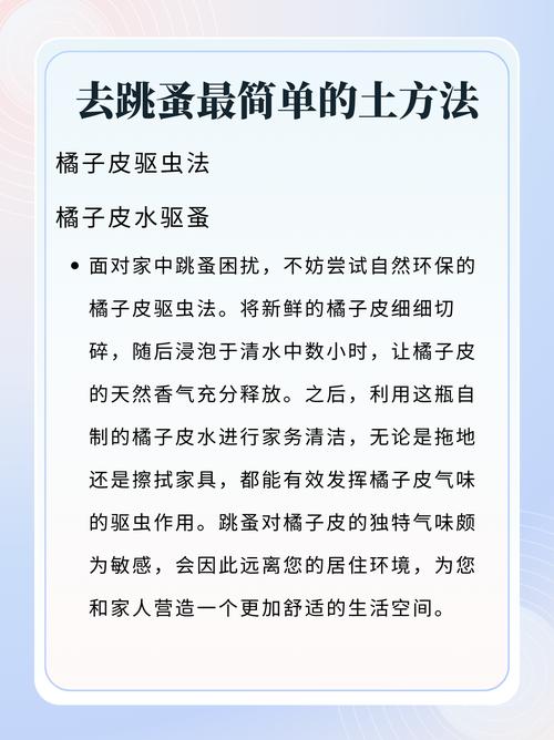 狗狗防跳蚤什么最有效_狗狗防跳蚤项圈有毒吗-第1张图片-后鲨宠物 狗狗防跳蚤什么最有效_狗狗防跳蚤项圈有毒吗-第1张图片-后鲨宠物