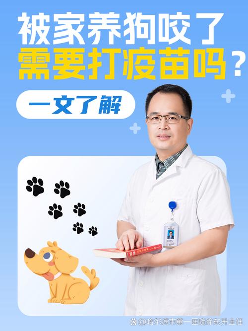 家养狗狗咬了要打针吗_被家养狗狗咬伤需要打疫苗针吗-第1张图片-后鲨宠物