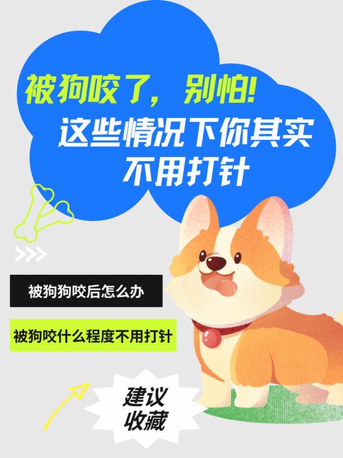 家养狗狗咬了要打针吗_被家养狗狗咬伤需要打疫苗针吗-第3张图片-后鲨宠物
