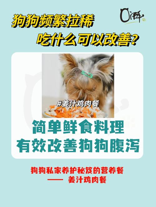 狗狗可以吃姜吗_狗狗可以吃姜吗辣的-第6张图片-后鲨宠物 狗狗可以吃姜吗_狗狗可以吃姜吗辣的-第6张图片-后鲨宠物