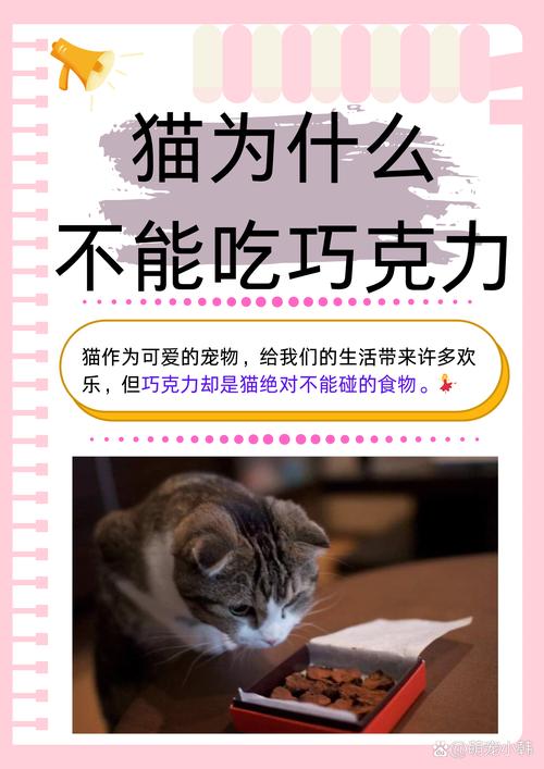 猫咪能吃巧克力吗_狗和猫为什么不能吃巧克力-第1张图片-后鲨宠物
