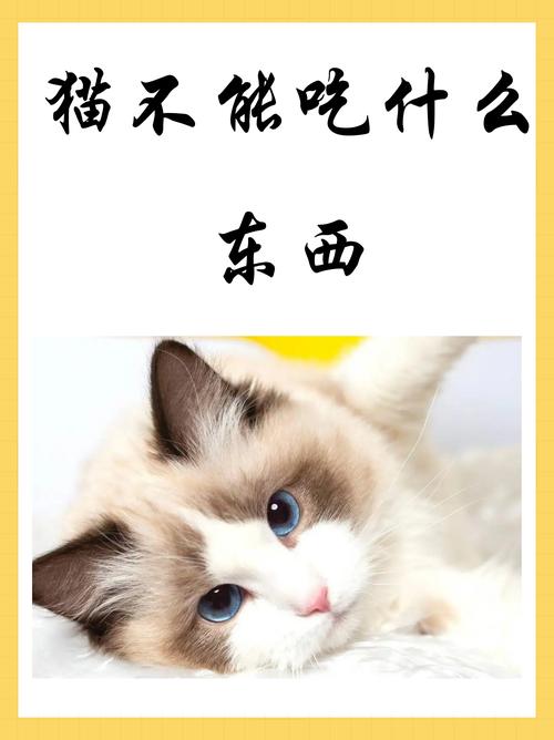 猫咪能吃巧克力吗_狗和猫为什么不能吃巧克力-第6张图片-后鲨宠物
