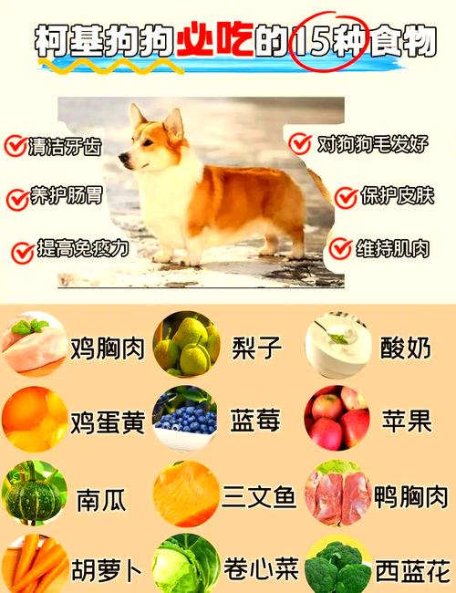 狗狗可以吃饭吗,狗狗不吃饭的5个原因?-第3张图片-后鲨宠物 狗狗可以吃饭吗,狗狗不吃饭的5个原因?-第3张图片-后鲨宠物