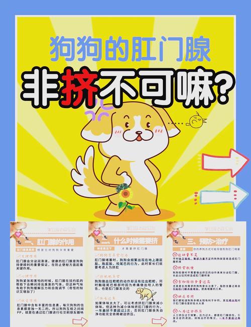狗狗肛门腺是什么,狗狗肛门腺是什么味道?-第1张图片-后鲨宠物 狗狗肛门腺是什么,狗狗肛门腺是什么味道?-第1张图片-后鲨宠物