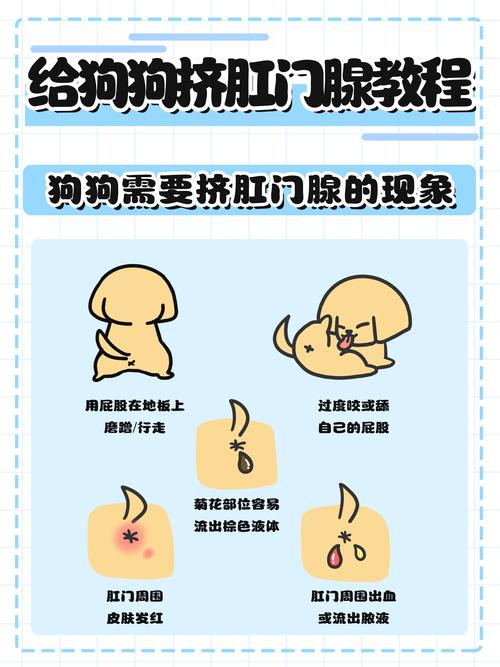 狗狗肛门腺是什么,狗狗肛门腺是什么味道?-第3张图片-后鲨宠物 狗狗肛门腺是什么,狗狗肛门腺是什么味道?-第3张图片-后鲨宠物