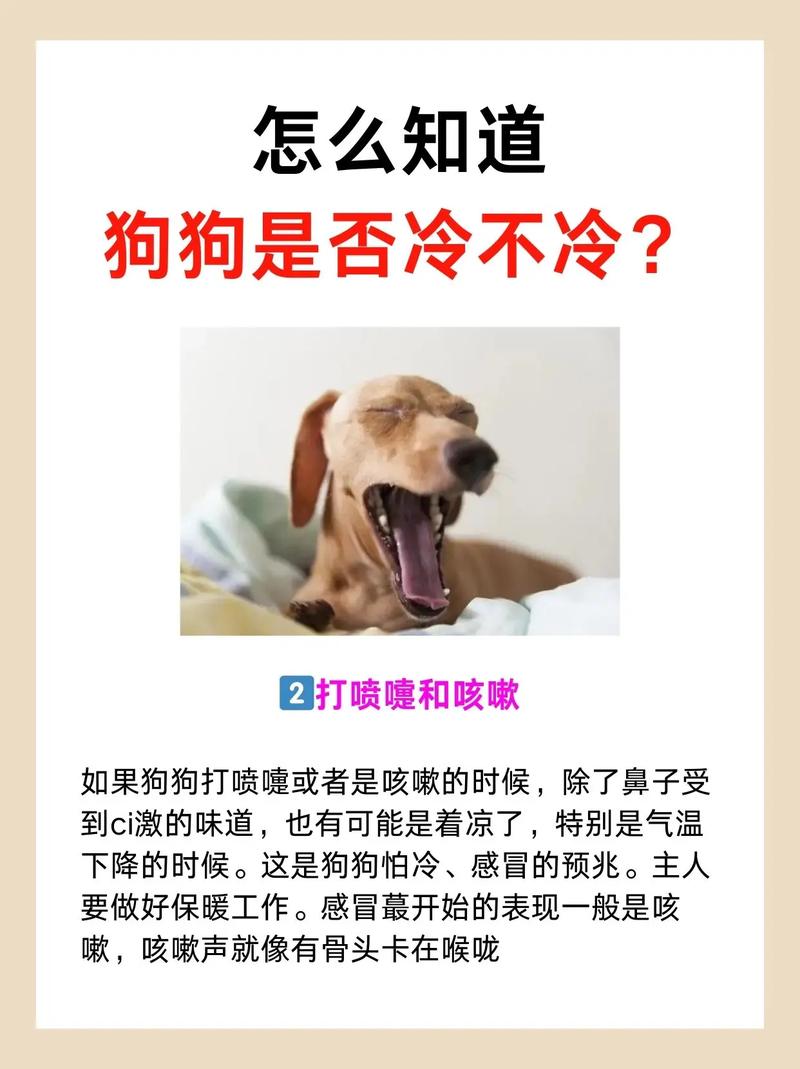 冬天狗狗怕冷吗_冬天狗狗怕不怕冷-第5张图片-后鲨宠物 冬天狗狗怕冷吗_冬天狗狗怕不怕冷-第5张图片-后鲨宠物