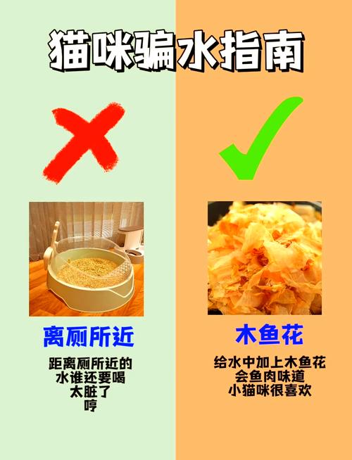 猫咪突然不爱喝水了,猫咪突然不爱喝水了但是食欲很好拉屎很多-第3张图片-后鲨宠物 猫咪突然不爱喝水了,猫咪突然不爱喝水了但是食欲很好拉屎很多-第3张图片-后鲨宠物