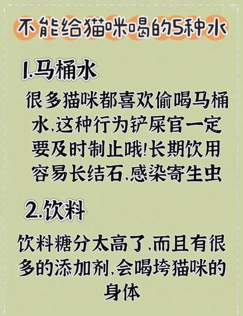 猫咪突然不爱喝水了,猫咪突然不爱喝水了但是食欲很好拉屎很多-第4张图片-后鲨宠物 猫咪突然不爱喝水了,猫咪突然不爱喝水了但是食欲很好拉屎很多-第4张图片-后鲨宠物