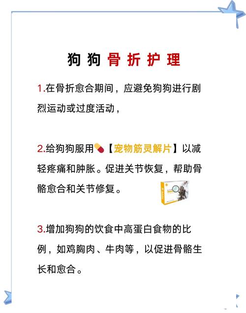 狗狗骨折怎么办_狗狗骨折了怎么恢复-第2张图片-后鲨宠物 狗狗骨折怎么办_狗狗骨折了怎么恢复-第2张图片-后鲨宠物