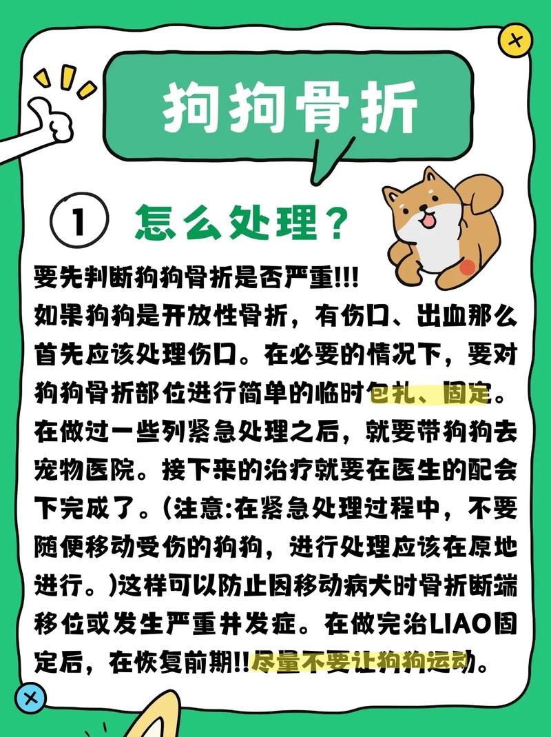 狗狗骨折怎么办_狗狗骨折了怎么恢复-第4张图片-后鲨宠物 狗狗骨折怎么办_狗狗骨折了怎么恢复-第4张图片-后鲨宠物