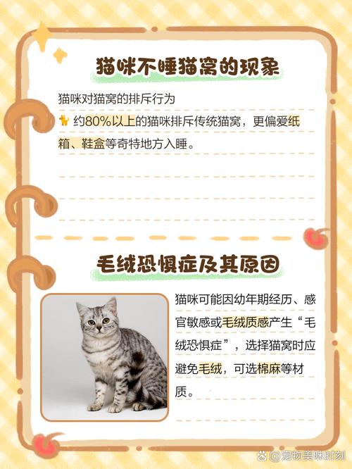 猫咪为什么不睡猫窝,猫咪为什么不睡猫窝总是睡地下-第3张图片-后鲨宠物 猫咪为什么不睡猫窝,猫咪为什么不睡猫窝总是睡地下-第3张图片-后鲨宠物