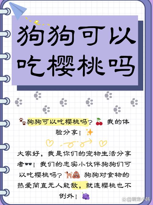 狗狗吃桃子可以吗_狗能吃 桃子吗-第4张图片-后鲨宠物 狗狗吃桃子可以吗_狗能吃 桃子吗-第4张图片-后鲨宠物