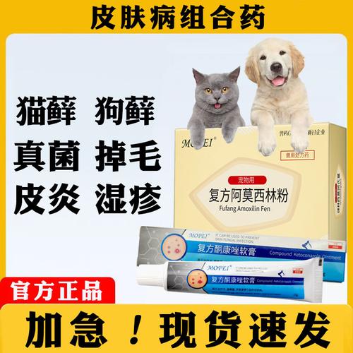 猫咪黑下巴严重,猫咪黑下巴严重怎么治?-第1张图片-后鲨宠物 猫咪黑下巴严重,猫咪黑下巴严重怎么治?-第1张图片-后鲨宠物