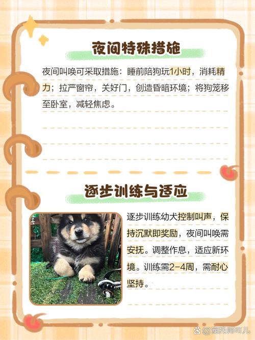 狗狗到家一直叫怎么办,狗狗到家一直叫怎么办不吃粮?-第1张图片-后鲨宠物 狗狗到家一直叫怎么办,狗狗到家一直叫怎么办不吃粮?-第1张图片-后鲨宠物