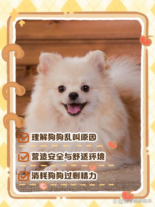 狗狗到家一直叫怎么办,狗狗到家一直叫怎么办不吃粮?-第5张图片-后鲨宠物 狗狗到家一直叫怎么办,狗狗到家一直叫怎么办不吃粮?-第5张图片-后鲨宠物