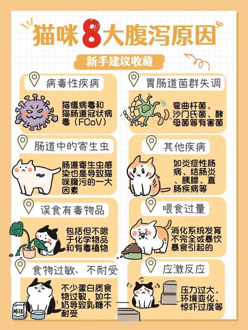猫咪总是拉稀怎么办,猫咪经常拉稀怎么回事?-第4张图片-后鲨宠物 猫咪总是拉稀怎么办,猫咪经常拉稀怎么回事?-第4张图片-后鲨宠物