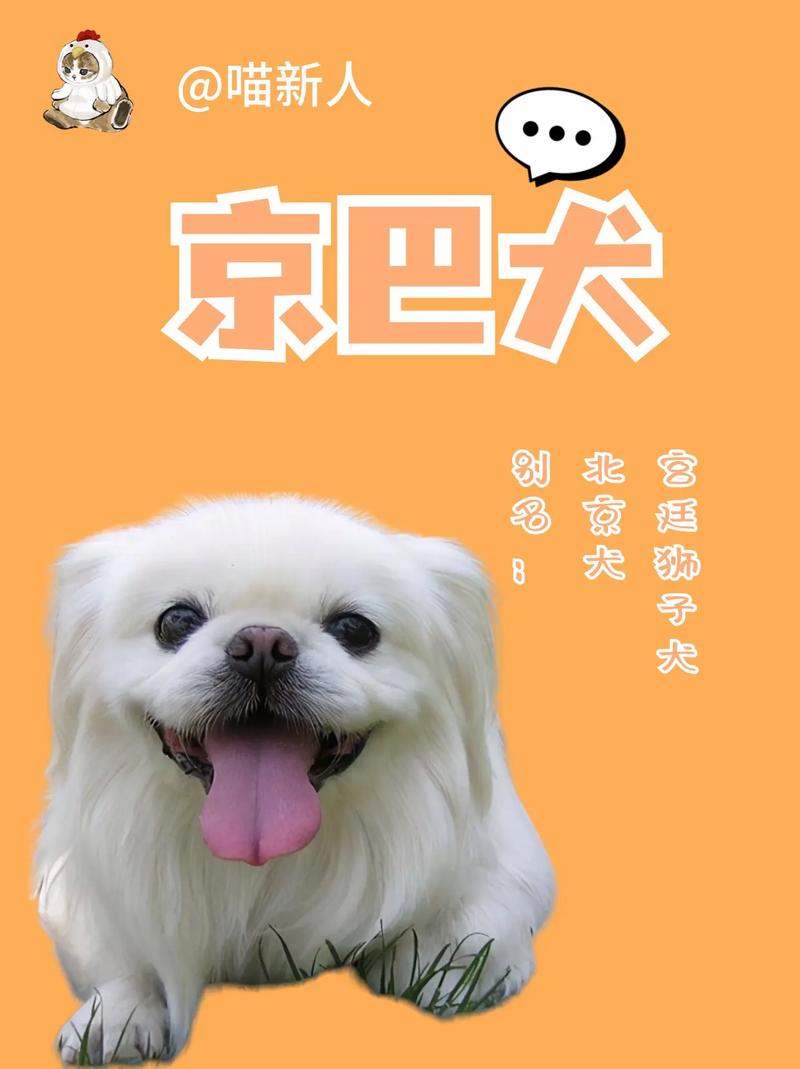 狗狗不能吃什么,狗狗不能吃什么蔬菜?-第4张图片-后鲨宠物 狗狗不能吃什么,狗狗不能吃什么蔬菜?-第4张图片-后鲨宠物