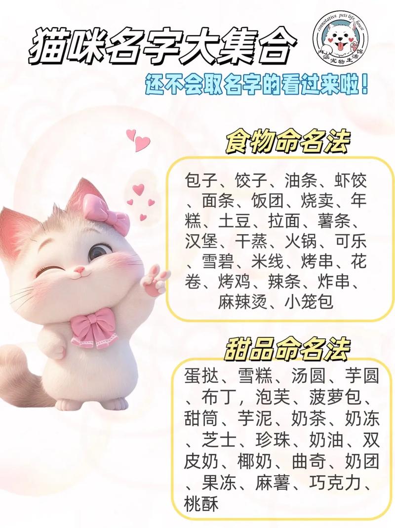 猫咪吉利又好听的名字,好听的吉利猫咪名字100个?-第5张图片-后鲨宠物 猫咪吉利又好听的名字,好听的吉利猫咪名字100个?-第5张图片-后鲨宠物