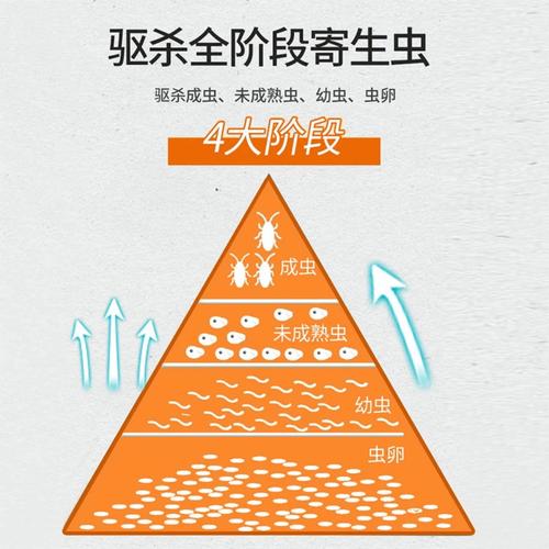 普安特猫咪驱虫药怎么样,普安特猫咪驱虫药怎么样好用吗-第5张图片-后鲨宠物 普安特猫咪驱虫药怎么样,普安特猫咪驱虫药怎么样好用吗-第5张图片-后鲨宠物