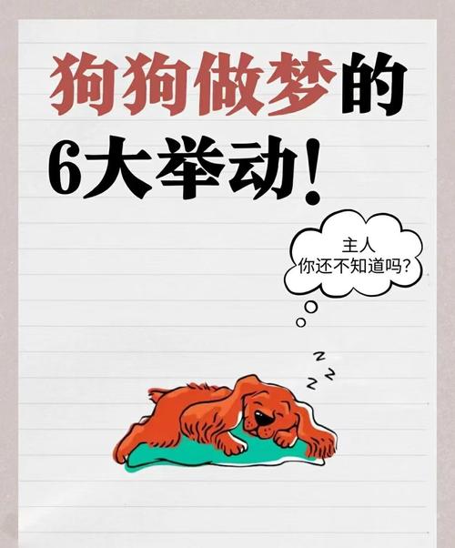 狗狗会不会做梦,狗是否会做梦?-第4张图片-后鲨宠物 狗狗会不会做梦,狗是否会做梦?-第4张图片-后鲨宠物