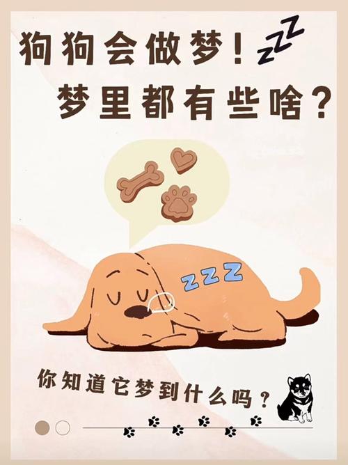 狗狗会不会做梦,狗是否会做梦?-第5张图片-后鲨宠物 狗狗会不会做梦,狗是否会做梦?-第5张图片-后鲨宠物