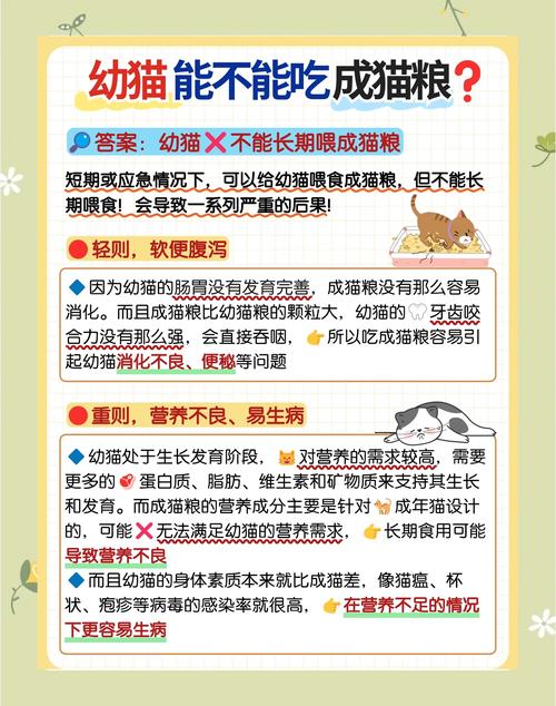 幼猫能吃成猫猫粮吗_幼猫可以喂成猫猫粮吗-第4张图片-后鲨宠物 幼猫能吃成猫猫粮吗_幼猫可以喂成猫猫粮吗-第4张图片-后鲨宠物