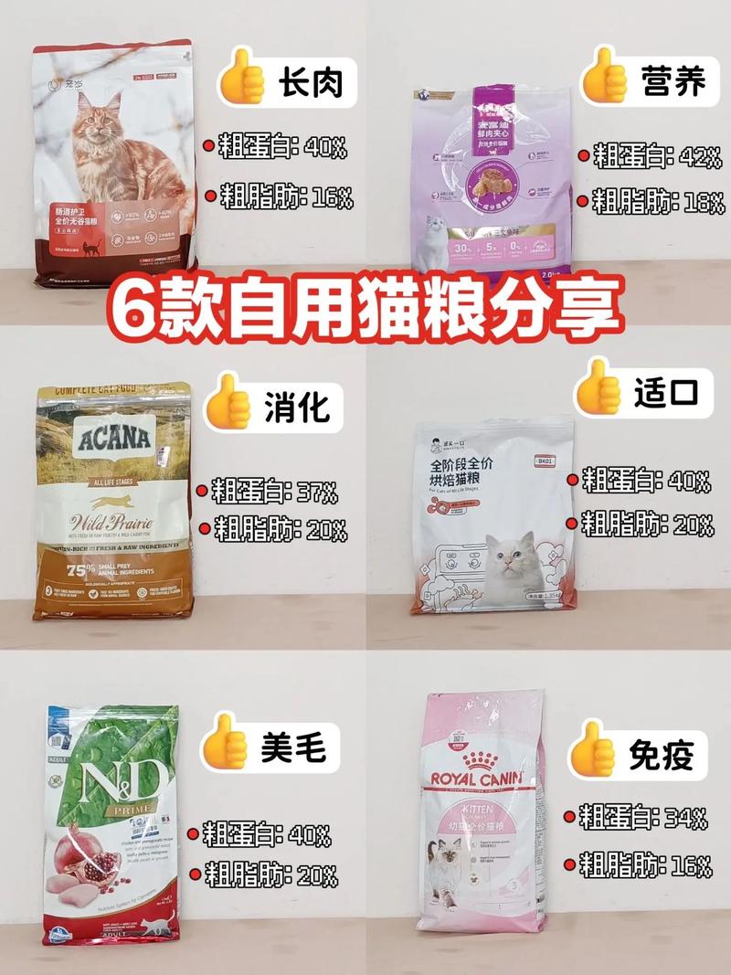 幼猫能吃成猫猫粮吗_幼猫可以喂成猫猫粮吗-第5张图片-后鲨宠物 幼猫能吃成猫猫粮吗_幼猫可以喂成猫猫粮吗-第5张图片-后鲨宠物