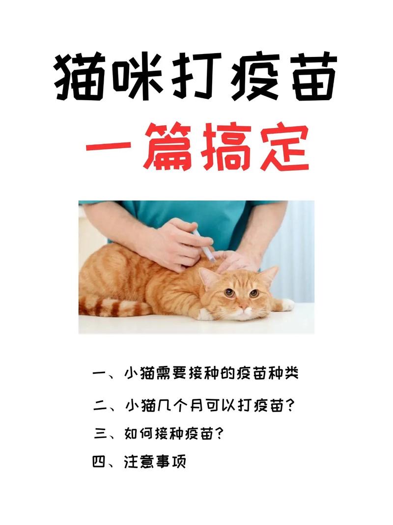 猫咪预防针怎么打,猫咪预防针打哪里-第1张图片-后鲨宠物 猫咪预防针怎么打,猫咪预防针打哪里-第1张图片-后鲨宠物