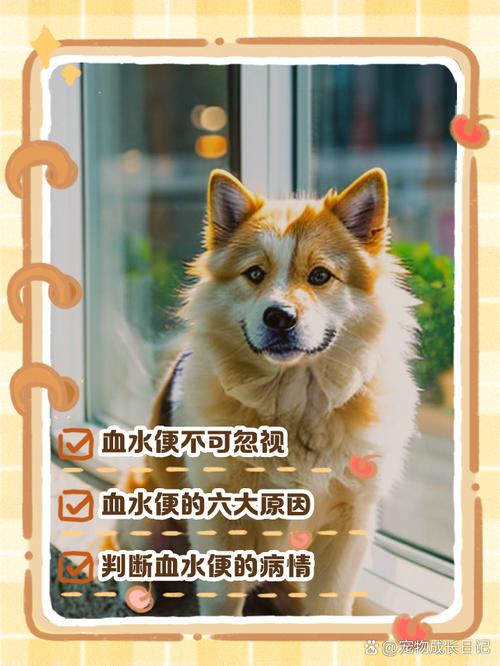 狗狗拉血水的处理办法,狗狗拉血水还有救吗?-第1张图片-后鲨宠物 狗狗拉血水的处理办法,狗狗拉血水还有救吗?-第1张图片-后鲨宠物