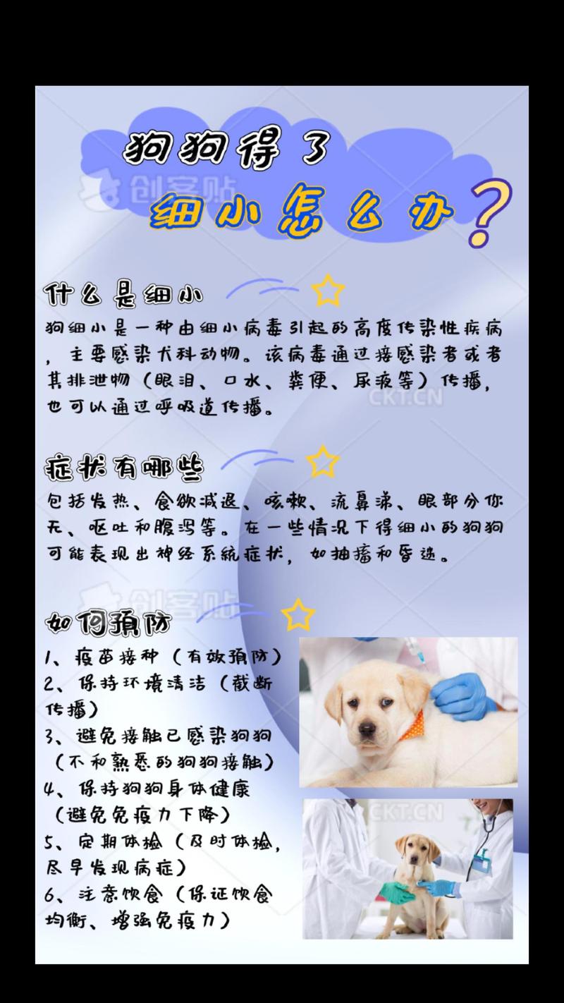 小狗狗得了细小怎么办,小狗得了细小病毒还能治好吗-第4张图片-后鲨宠物 小狗狗得了细小怎么办,小狗得了细小病毒还能治好吗-第4张图片-后鲨宠物