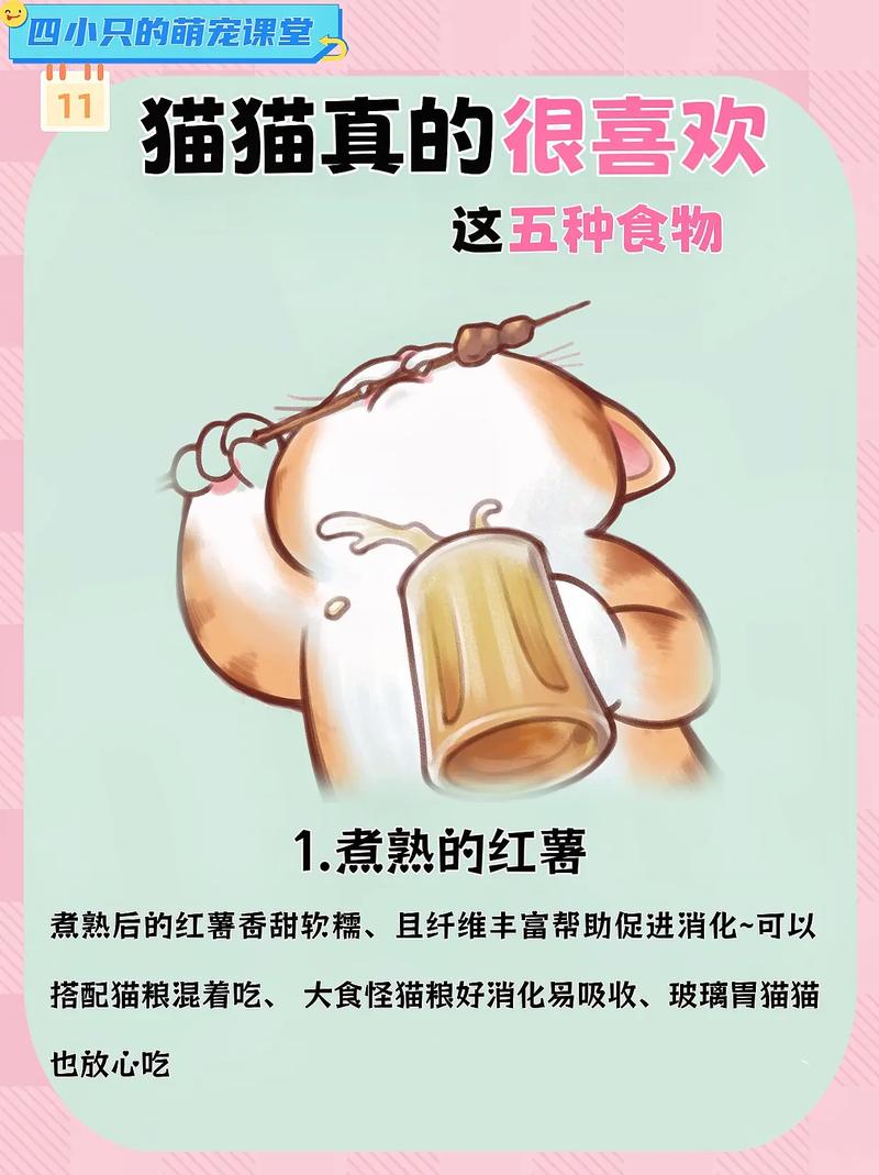 猫咪适合吃什么,猫咪适合吃什么蔬菜-第6张图片-后鲨宠物 猫咪适合吃什么,猫咪适合吃什么蔬菜-第6张图片-后鲨宠物