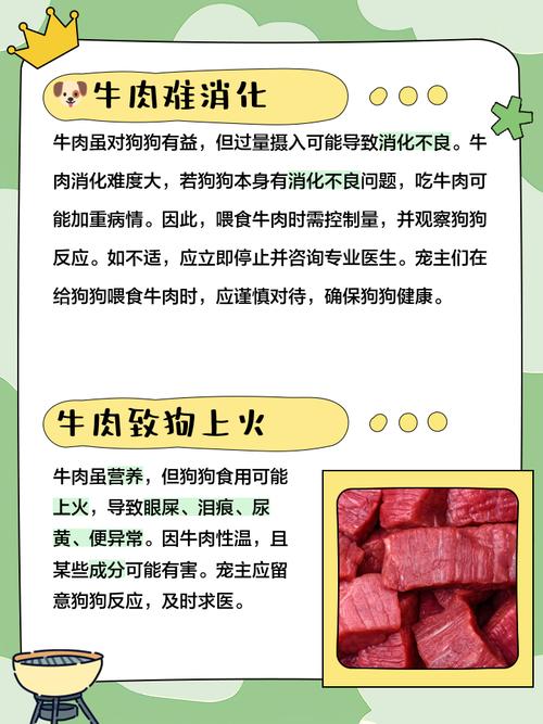 狗狗吃鸡肉好还是牛肉好_狗狗吃牛肉味好还是鸡肉味-第3张图片-后鲨宠物 狗狗吃鸡肉好还是牛肉好_狗狗吃牛肉味好还是鸡肉味-第3张图片-后鲨宠物