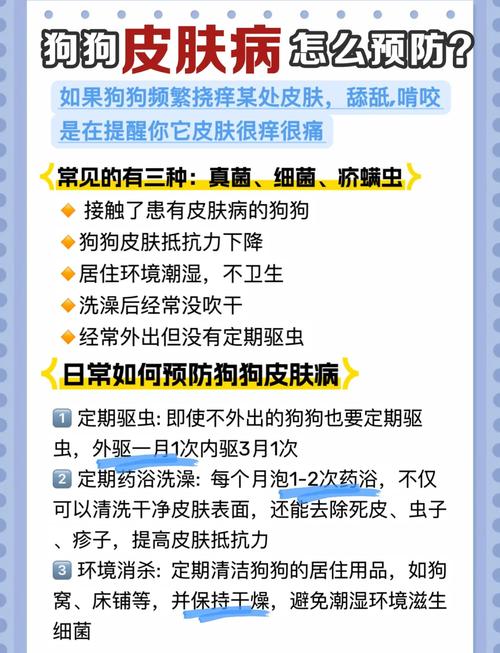 狗狗皮肤病用什么洗澡,狗狗皮肤病用什么药水洗澡-第6张图片-后鲨宠物 狗狗皮肤病用什么洗澡,狗狗皮肤病用什么药水洗澡-第6张图片-后鲨宠物