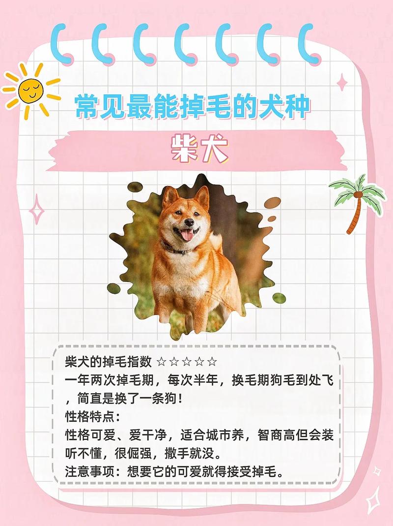 狗狗掉毛是什么原因,宠物狗掉毛是什么原因-第3张图片-后鲨宠物 狗狗掉毛是什么原因,宠物狗掉毛是什么原因-第3张图片-后鲨宠物