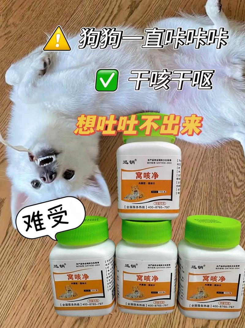 狗狗打喷嚏吃什么药_宠物狗打喷嚏吃什么药-第1张图片-后鲨宠物 狗狗打喷嚏吃什么药_宠物狗打喷嚏吃什么药-第1张图片-后鲨宠物