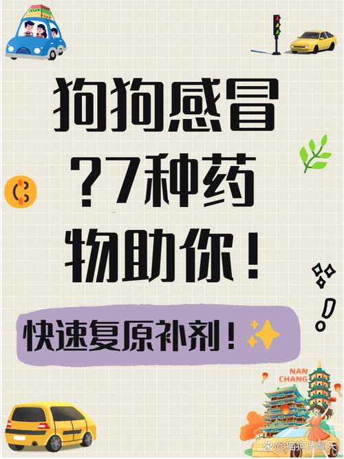 狗狗打喷嚏吃什么药_宠物狗打喷嚏吃什么药-第4张图片-后鲨宠物 狗狗打喷嚏吃什么药_宠物狗打喷嚏吃什么药-第4张图片-后鲨宠物