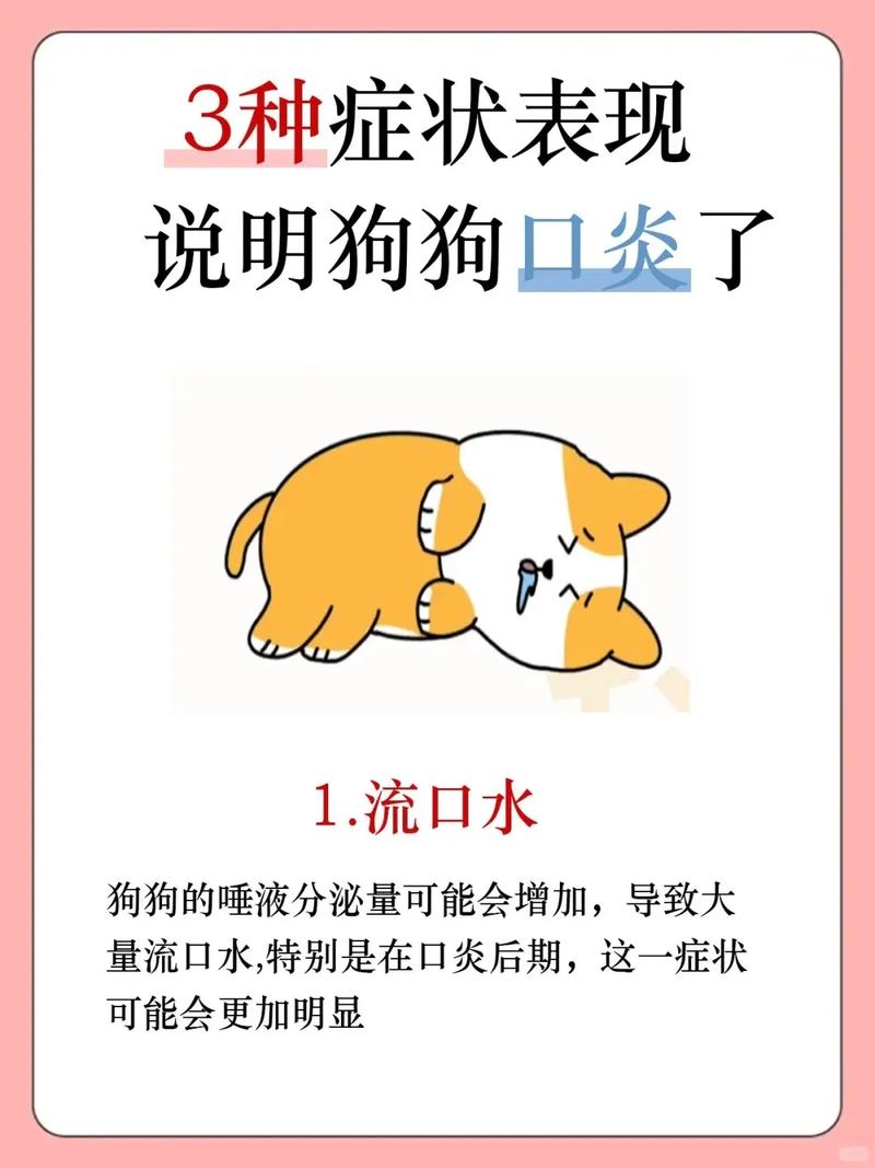 狗狗口腔溃疡用什么药_狗狗口腔溃疡吃啥药好得快-第1张图片-后鲨宠物 狗狗口腔溃疡用什么药_狗狗口腔溃疡吃啥药好得快-第1张图片-后鲨宠物