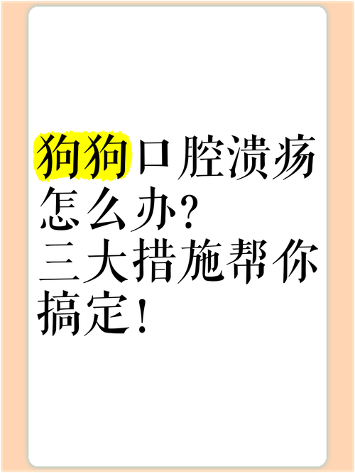 狗狗口腔溃疡用什么药_狗狗口腔溃疡吃啥药好得快-第2张图片-后鲨宠物 狗狗口腔溃疡用什么药_狗狗口腔溃疡吃啥药好得快-第2张图片-后鲨宠物