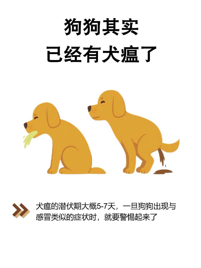 狗狗得了犬瘟还能活吗,狗得了犬瘟会好吗-第5张图片-后鲨宠物 狗狗得了犬瘟还能活吗,狗得了犬瘟会好吗-第5张图片-后鲨宠物
